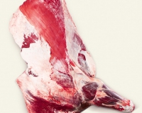 10 ribs forequarter with flank (2)