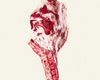 3 ribs hindquarter without shank (2)