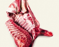 5 ribs forequarter with flank (1)