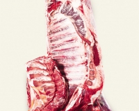 5 ribs forequarter without flank (1)