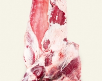 5 ribs forequarter without flank (2)
