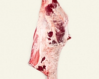 8 ribs hindquarter with flank (1)